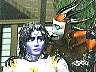 dris130.jpg